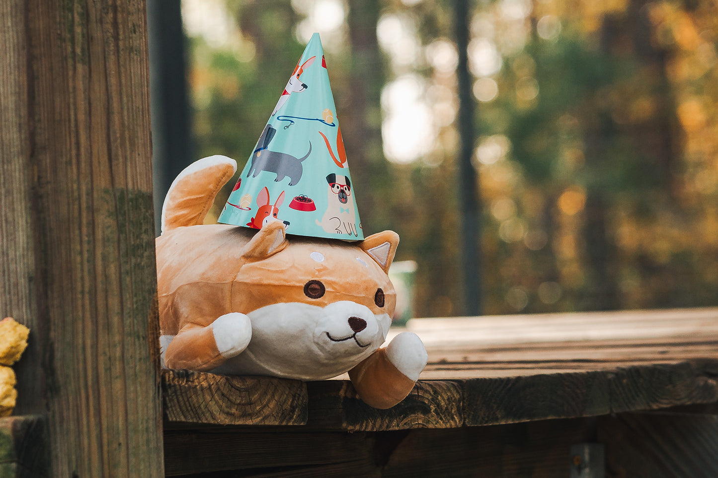 Birthday Party