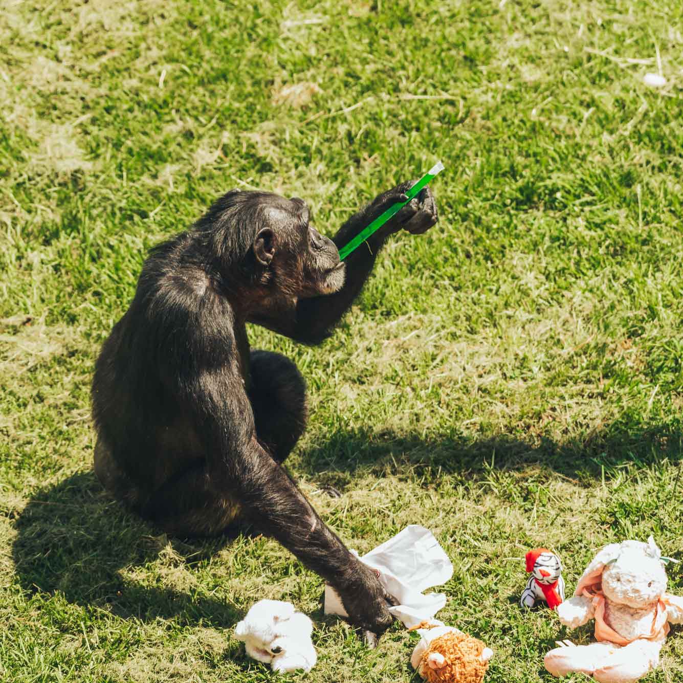 Birthday Party
